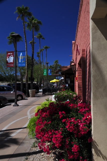 downtown shops 